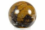 Polished Petrified Shrinkwood Sphere - Parker, Colorado #303459-1